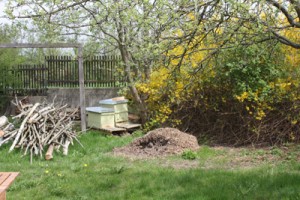 bienen